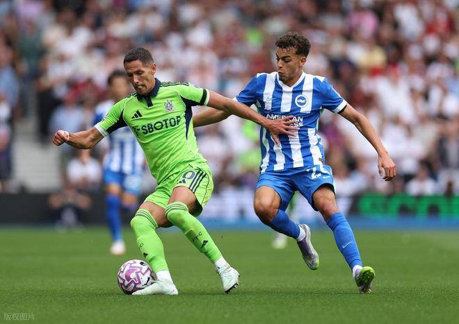 中进, src 中进, src