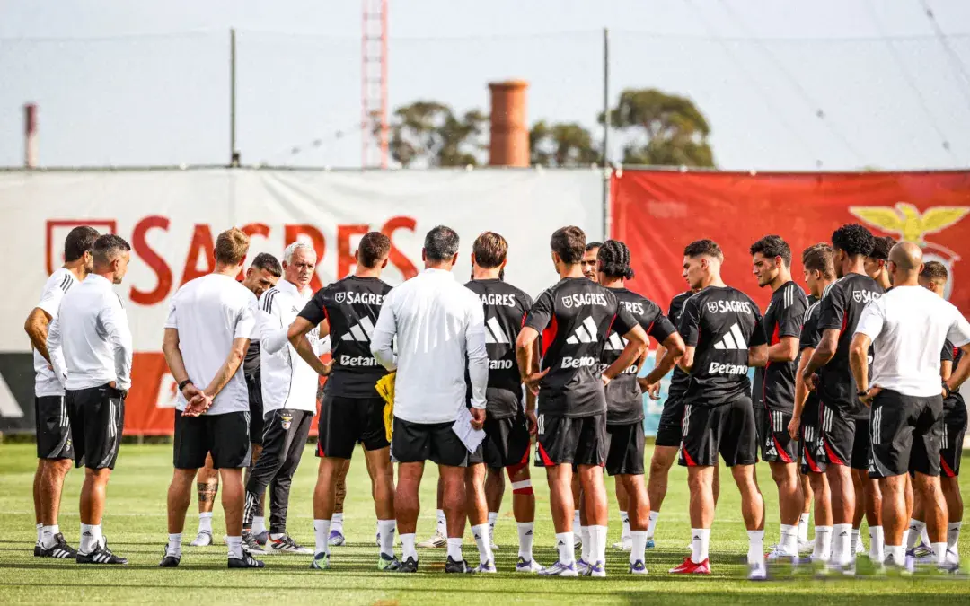 新任主席维 新任主席维